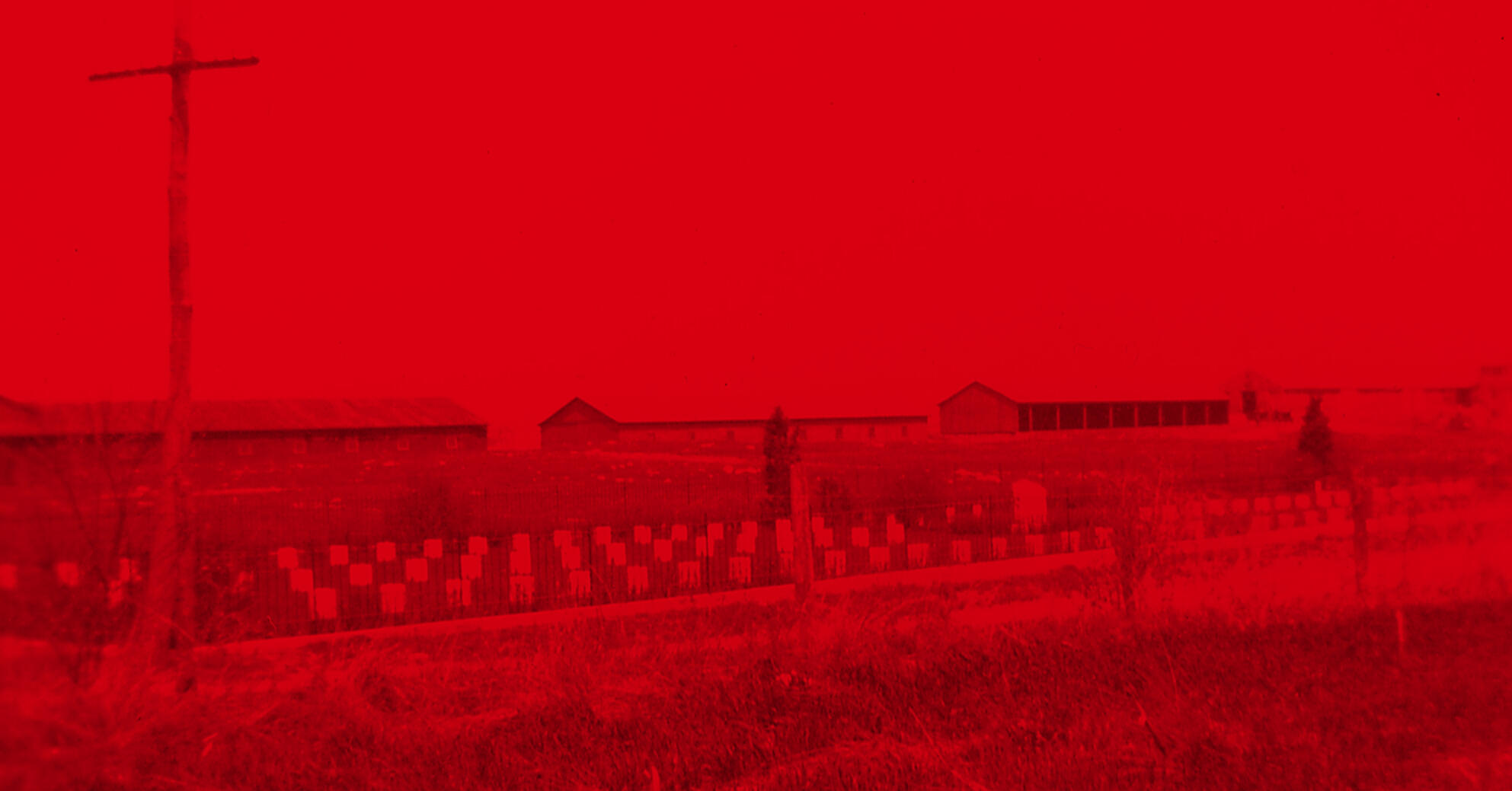 Our Children You Murdered